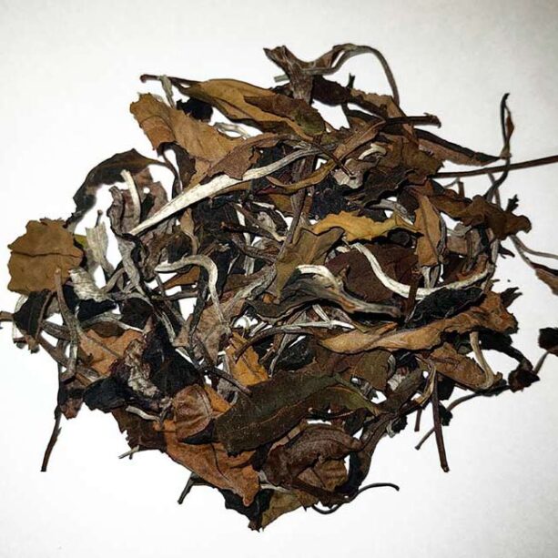 Paksong Lao Ancient Tea (White Tea)